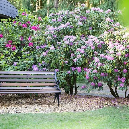 Lueneburger Heide - Am Hoepen *