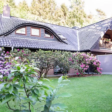 Lueneburger Heide - Am Hoepen Schneverdingen