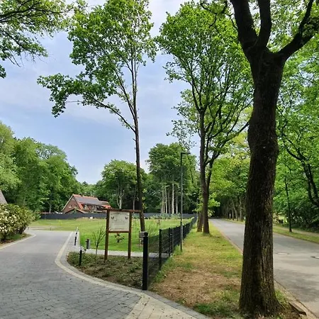 Lueneburger Heide - Am Hoepen