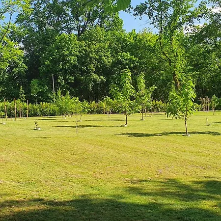 Lüneburger Heide - Am Höpen * Schneverdingen