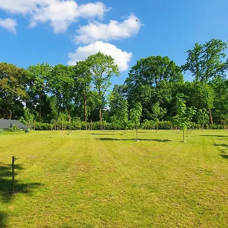 Lüneburger Heide - Am Höpen