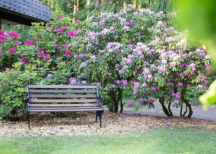 Lueneburger Heide - Am Hoepen *