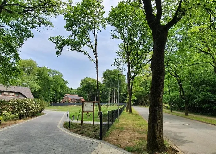 Lueneburger Heide - Am Hoepen